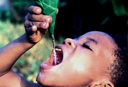 Trabajadores cubiertos de petr�leo